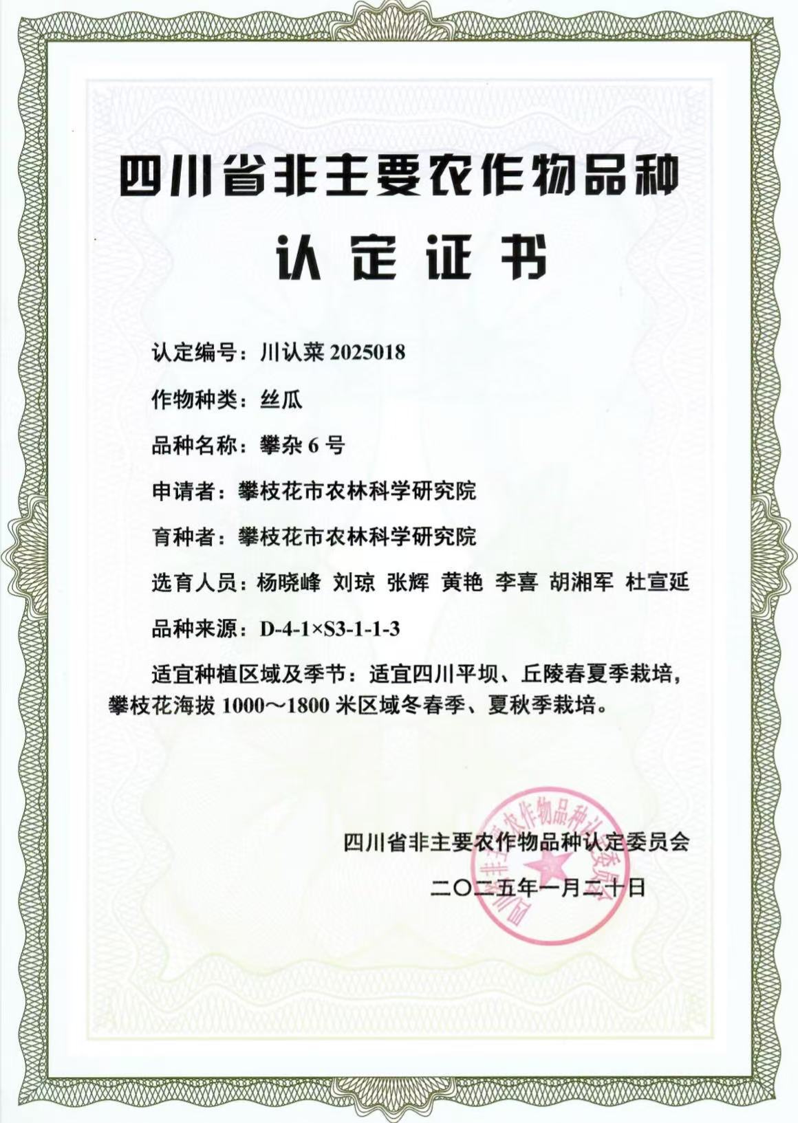 攀杂6号.jpg