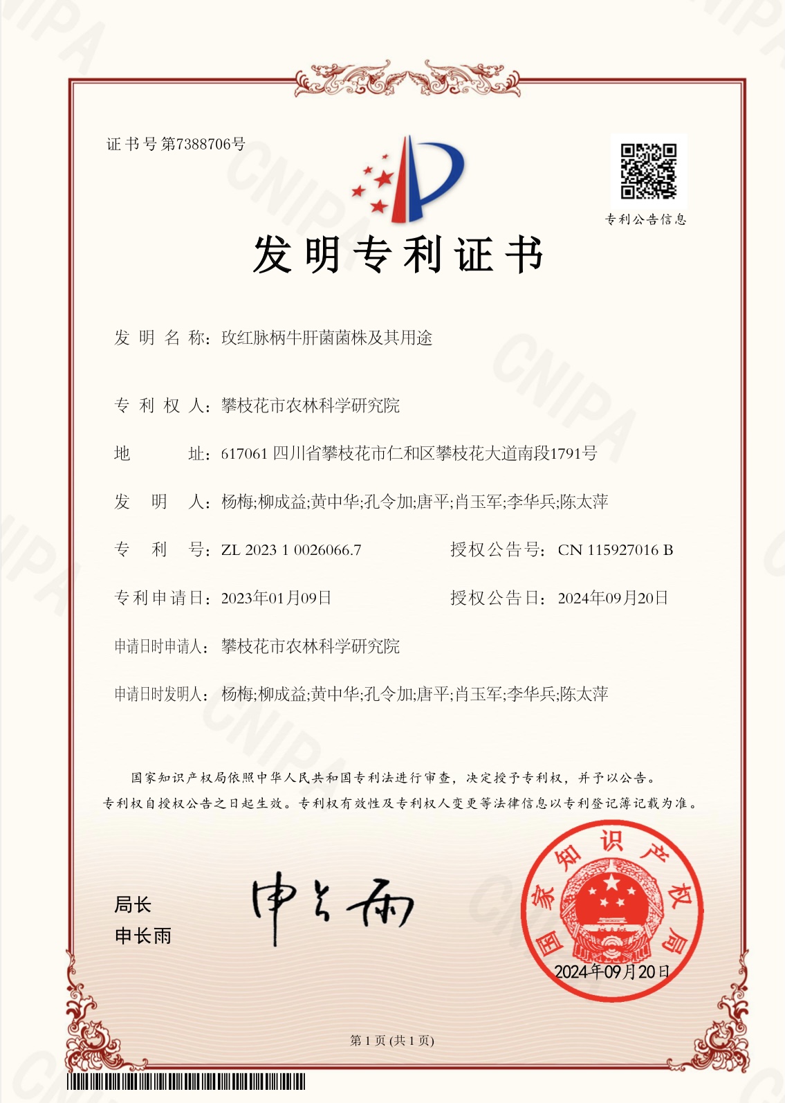 玫红脉柄牛肝菌菌株及其用途.jpg