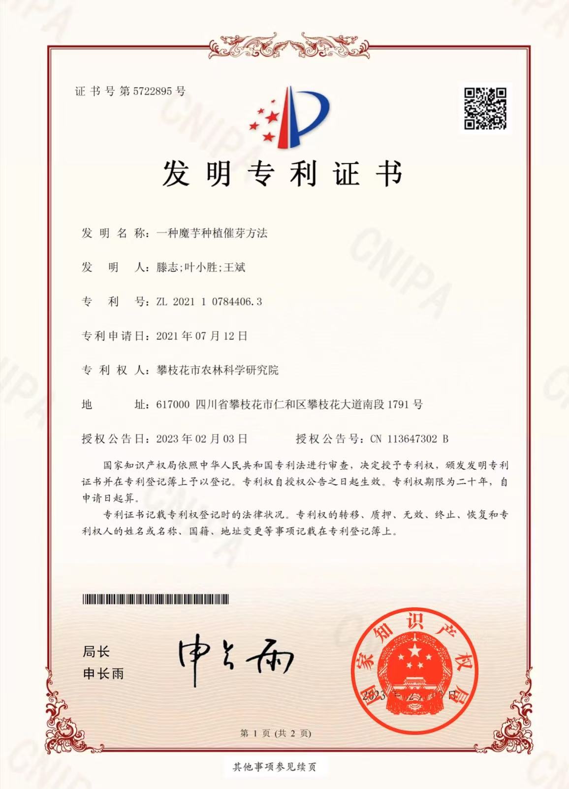 一种魔芋种植催芽方法1.jpg
