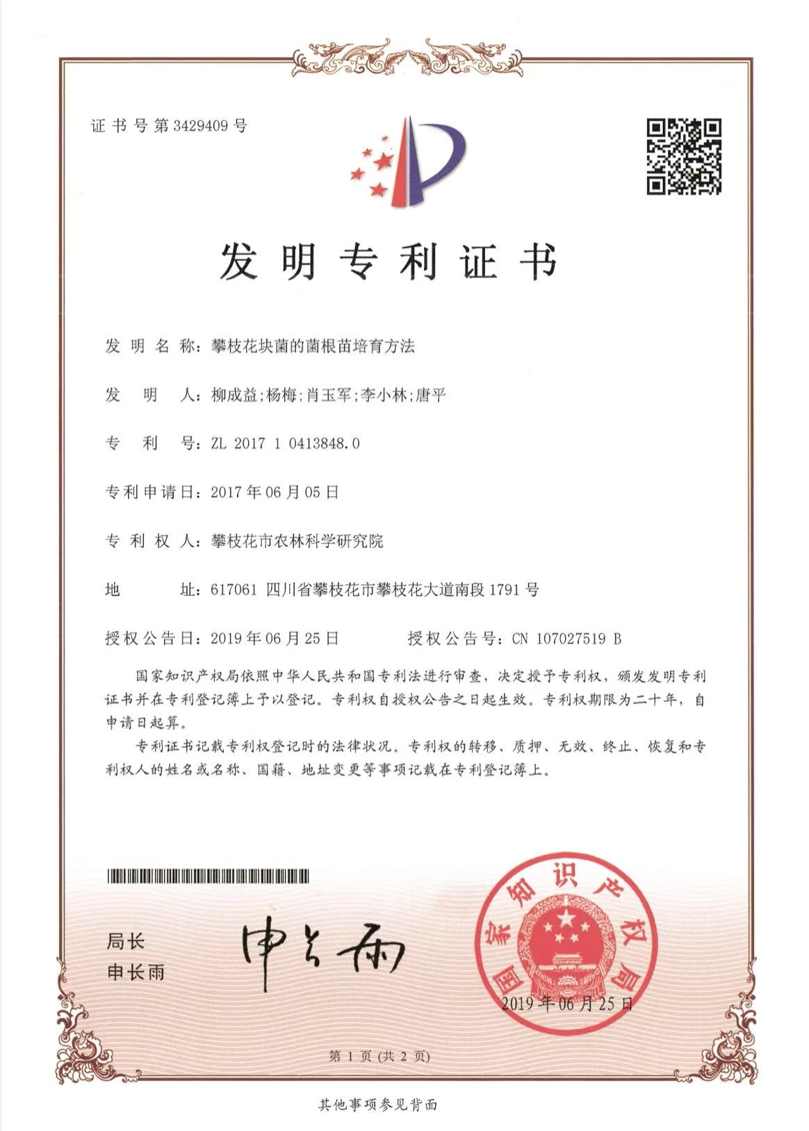 攀枝花块菌菌根苗培育方法发明专利1.jpg