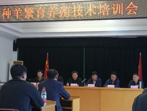 种羊繁育养殖技术培训会20241203-1204（1）.png