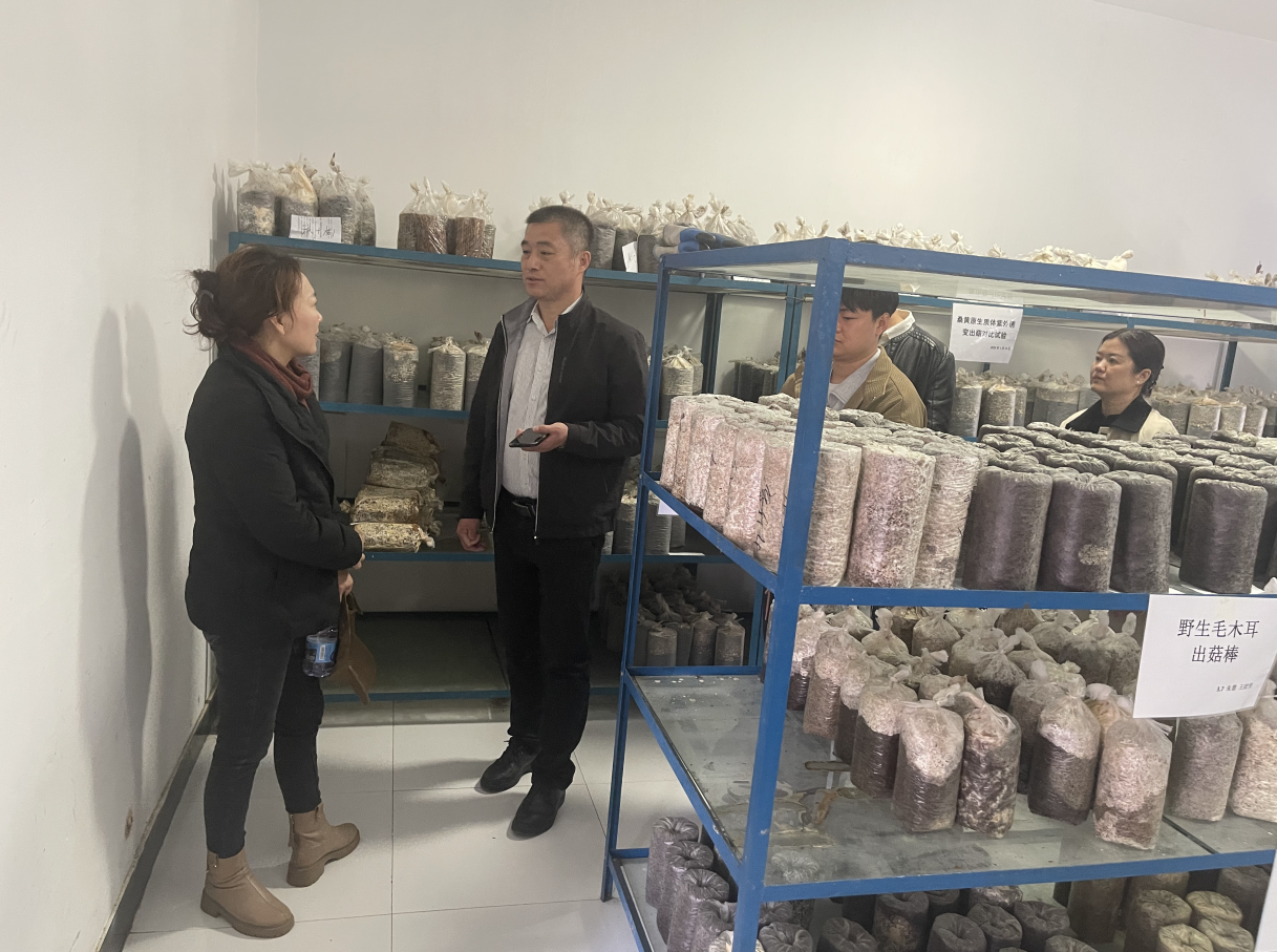 唐山市农科院食用菌实验参观和交流1.jpg