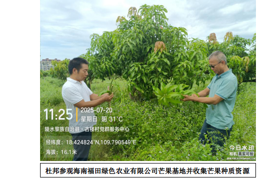 图片4.png