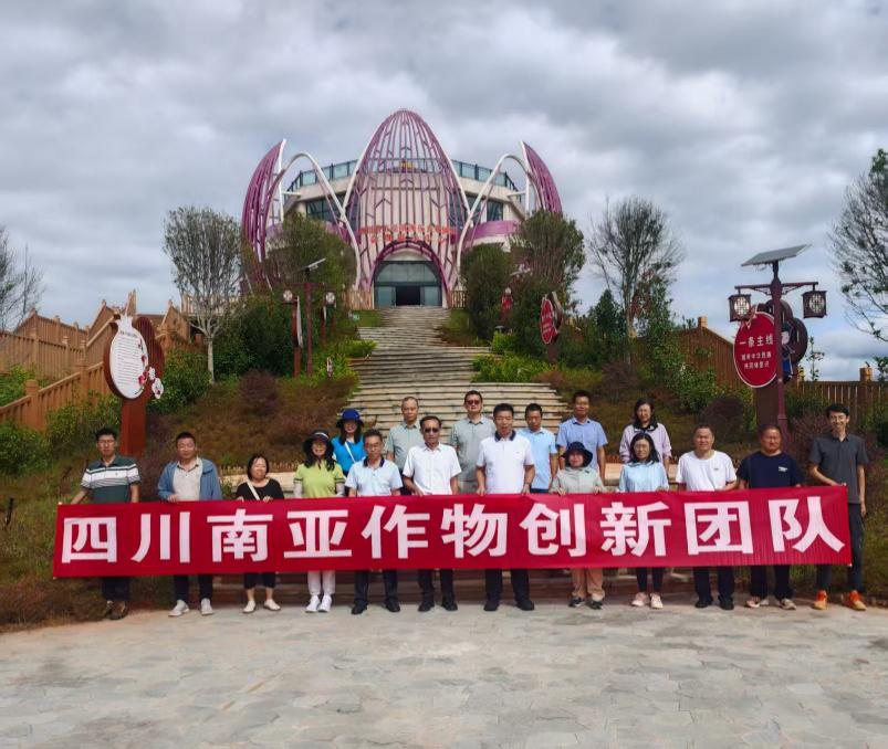 图片1.png