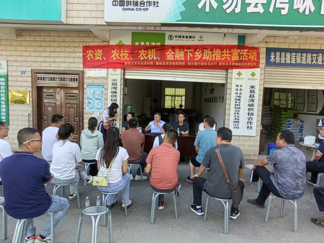 图片1.png