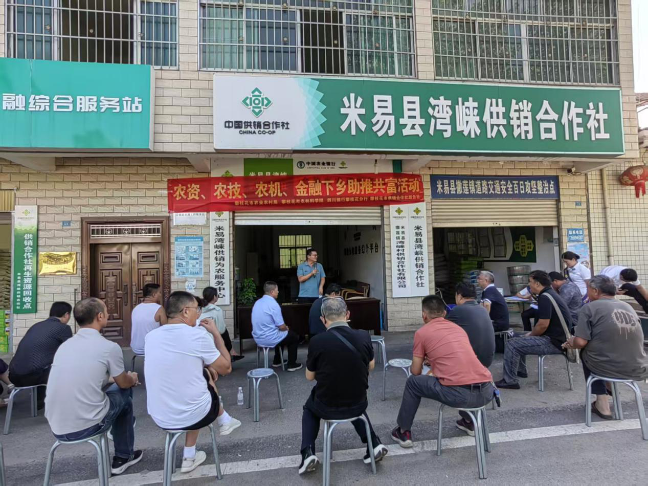 图片3.png