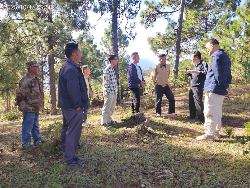 图片2.png 图片2.png