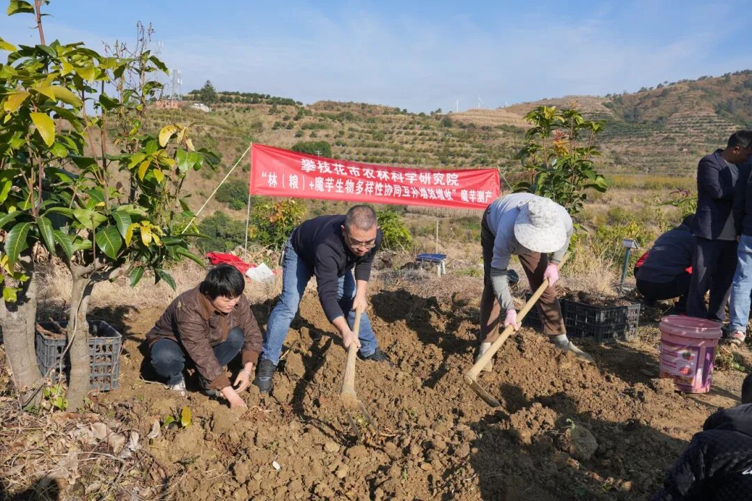 640 (1).jpeg 640 (1).jpeg