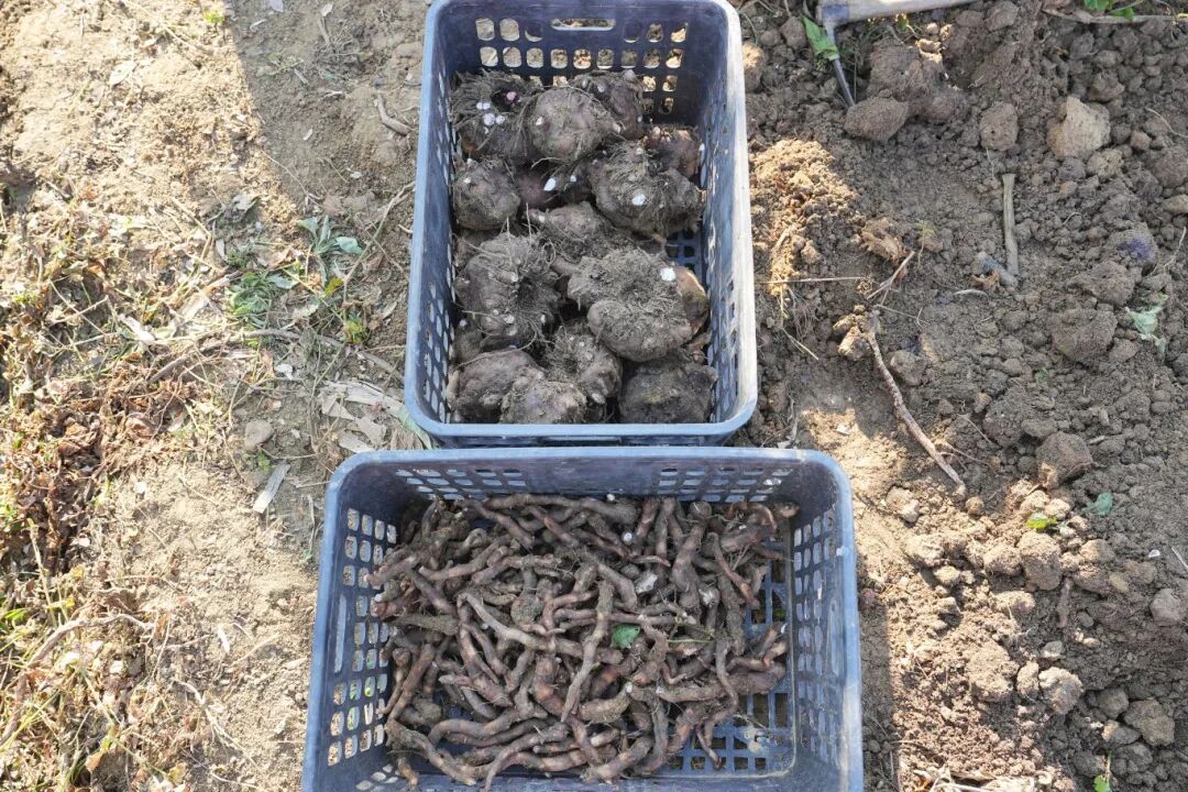 640 (2).jpeg 640 (2).jpeg