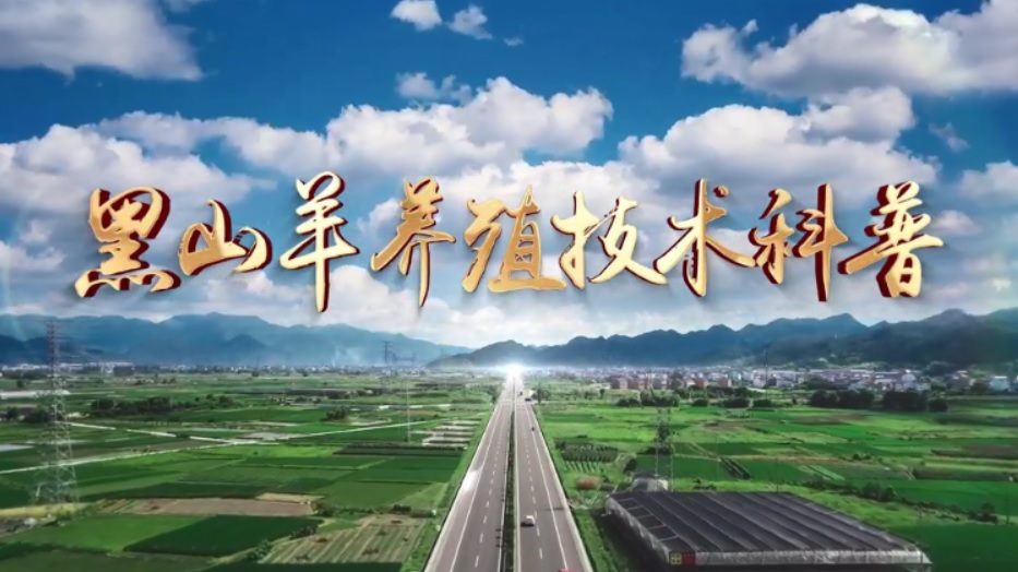 黑山羊养殖技术